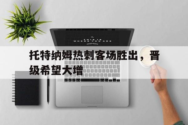 托特纳姆热刺客场胜出，晋级希望大增的简单介绍